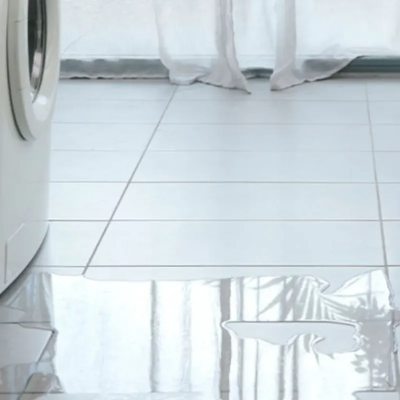 Appliance Leak Cleanup in Boone County, WV