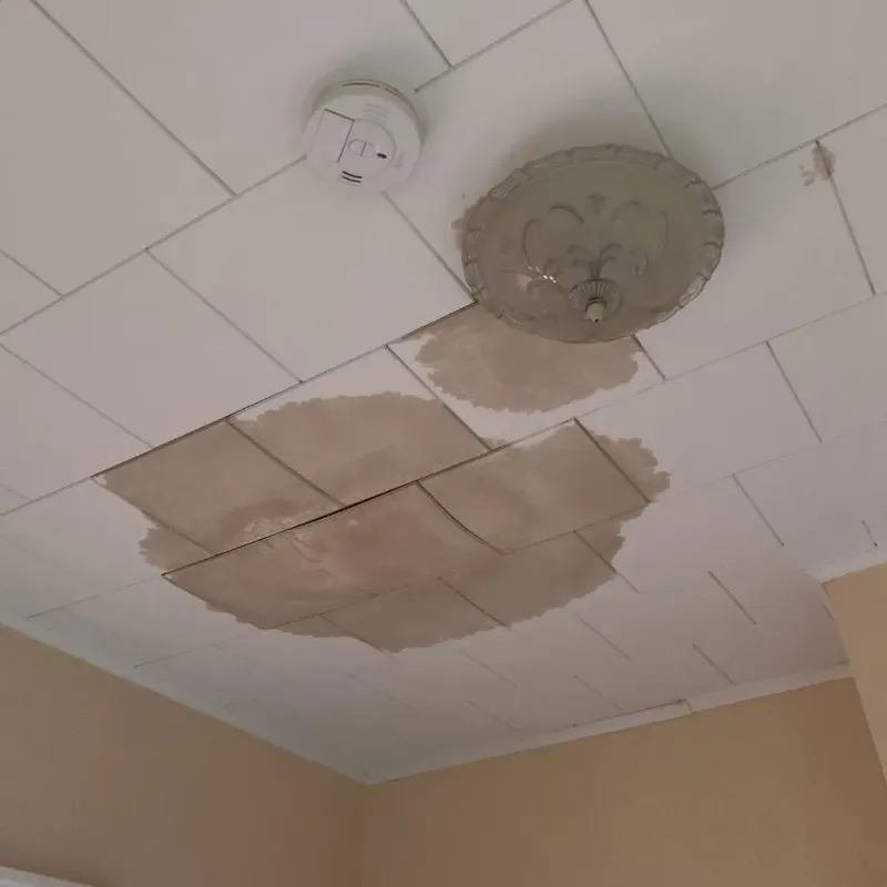 Ceiling Water Damage Repair in Boone County, WV