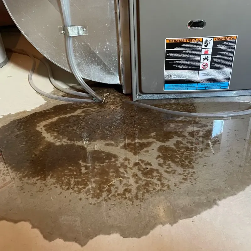 Pipe Burst and Leak Restoration in Boone County, WV
